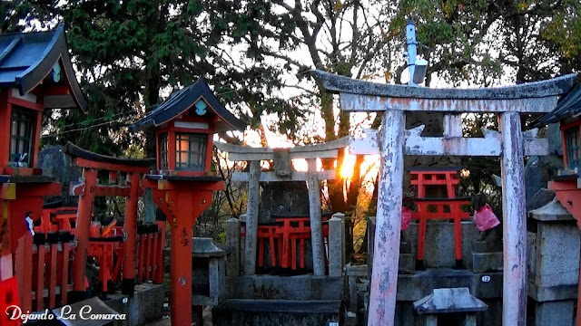 Día 13 - Kyoto (transformación en maiko - Fushimi Inari) - Japón primavera 2016 - 18 días (con bajo presupuesto) (28)