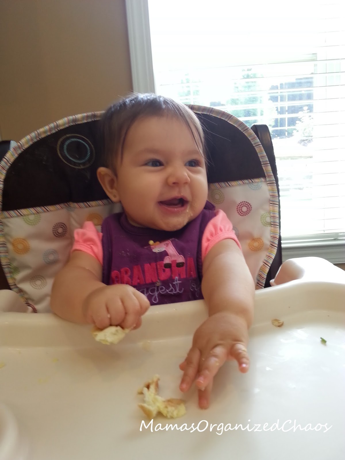 Babywise Schedule Month 7 Mama s Organized Chaos babywise-schedule-month-7-mama-s-organized-chaos