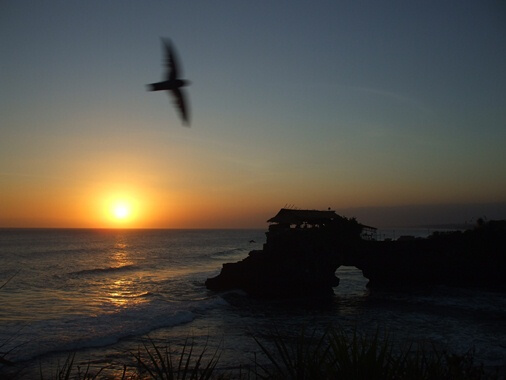 Tanah Lot Temple Bali - Sunset And Holy Snake 