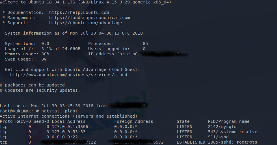 Linux через ssh. SSH графический Интерфейс. Обновление по SSH линукс. Как передавать данные через SSH Linux. Подключение по протоколу «SSH» под пользователем «root» alt Linux.