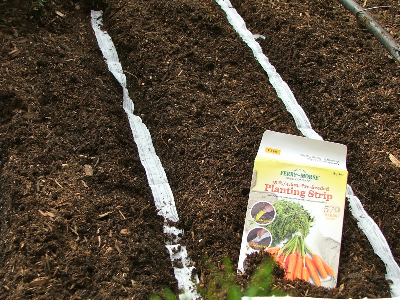 Garden and Bliss October Planting Guide Southern California