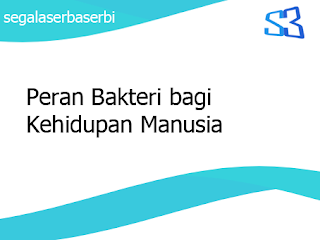 Peran Bakteri Bagi Kehidupan Manusia