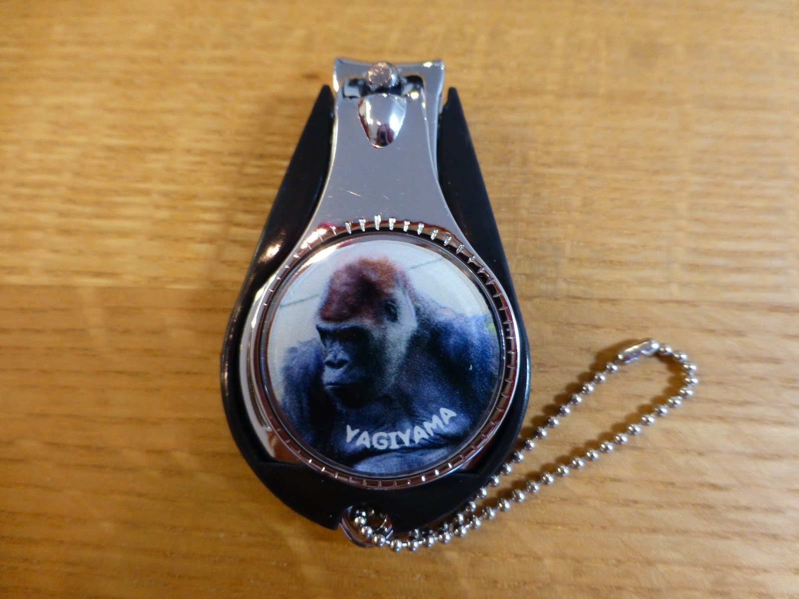 Gorilla 日記 2 ゴリラ自慢 1 ドン君の爪切り