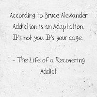Quote Addiction is an adaptation