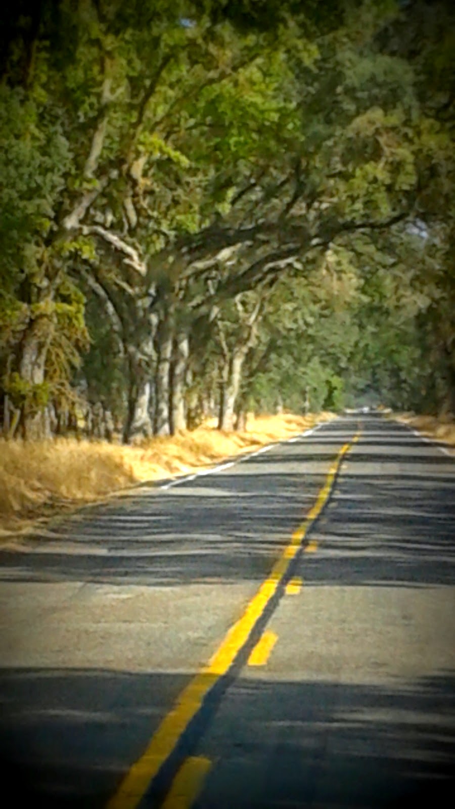 GYPSY SPIRIT RISING Haunted Humpday The Tragedy's Of Dyer Lane