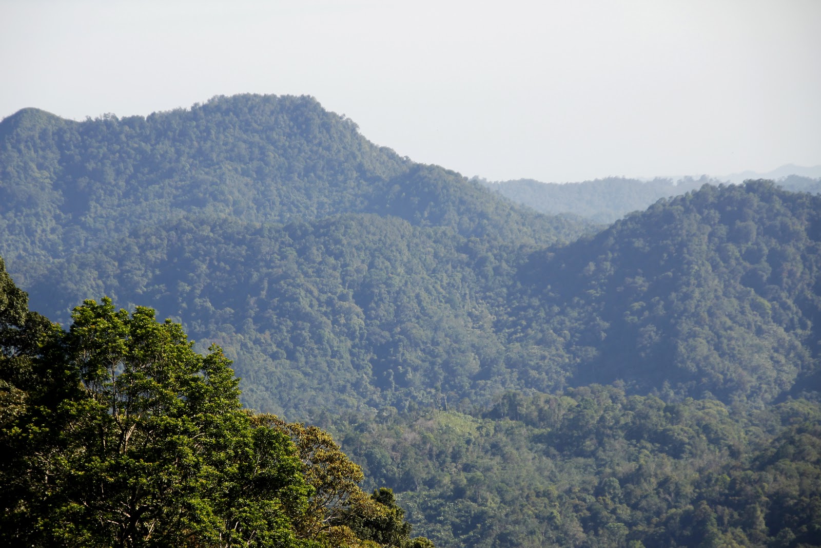 Gunung Jadi - The First Mountain In Riau