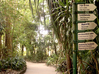 Trilhas no Bosque Rodrigues Alves