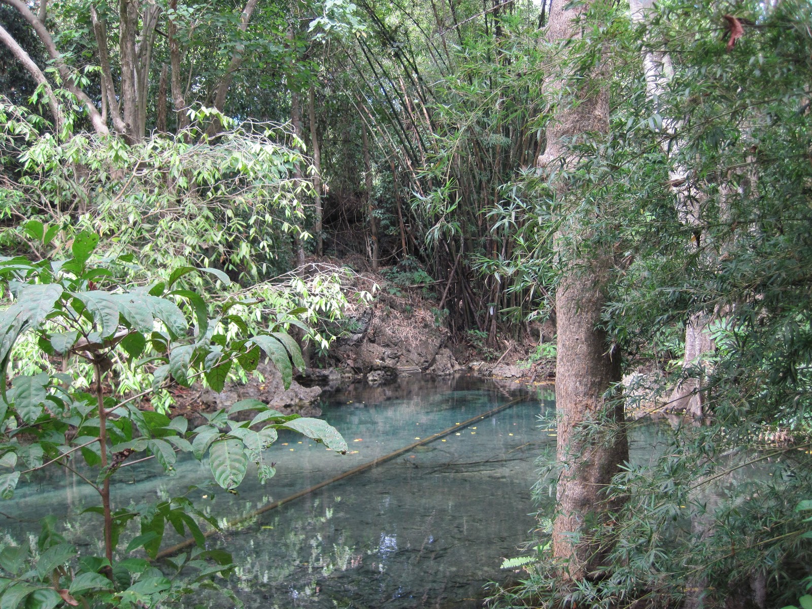 medical mission: Exploring Bayawan