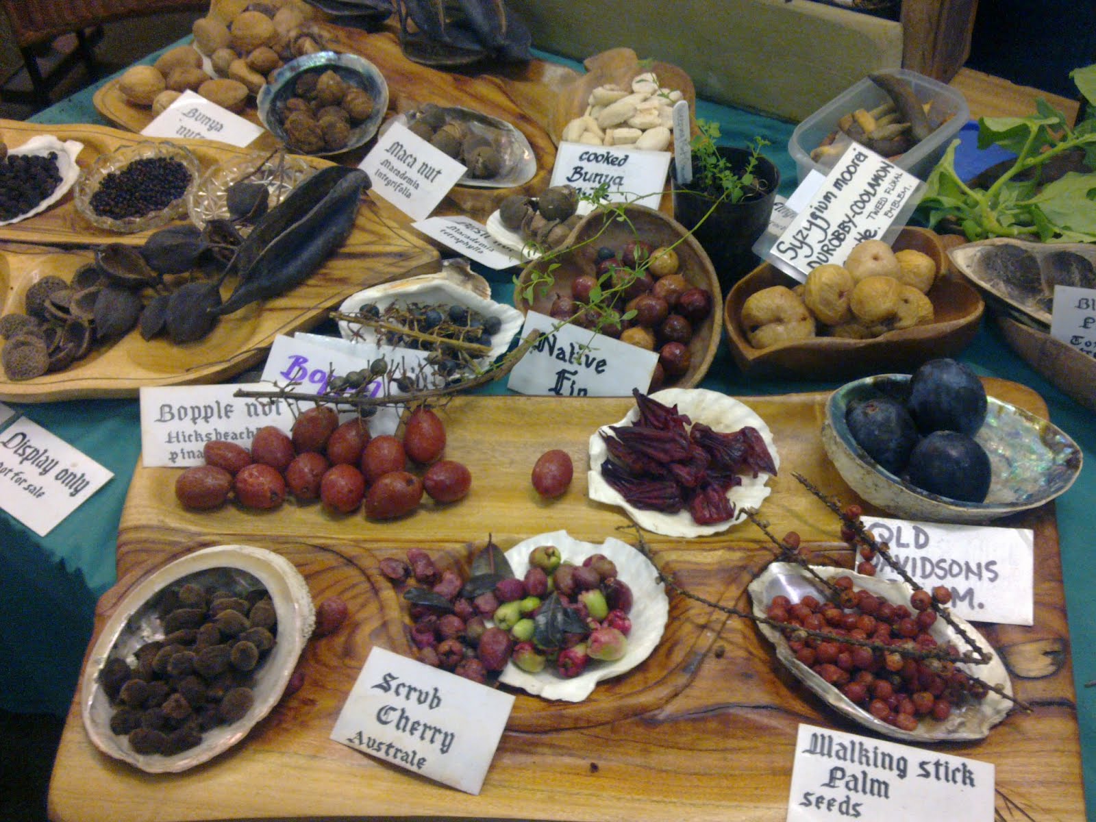 in my view Australian edible plants