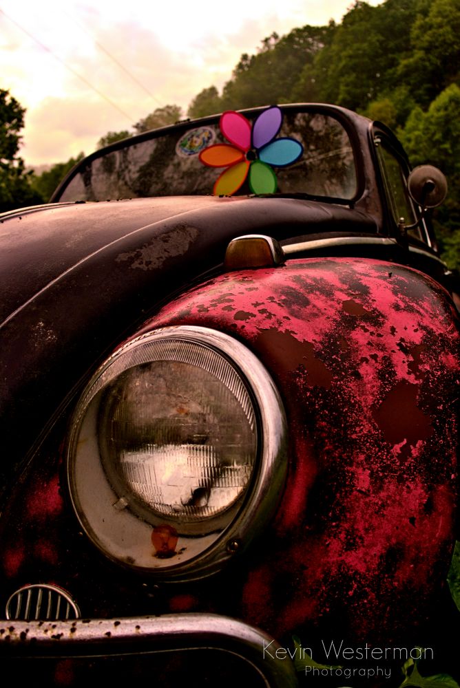 Volkswagen Graveyard: Beetle