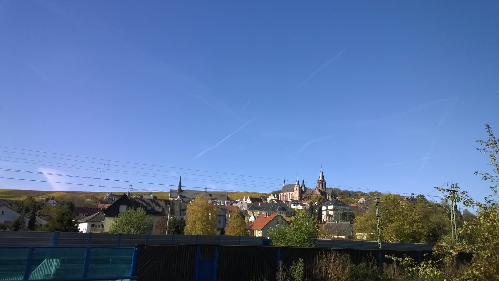 Wild Woman Sisterhood So Far Wild Woman Sisterhood Embody