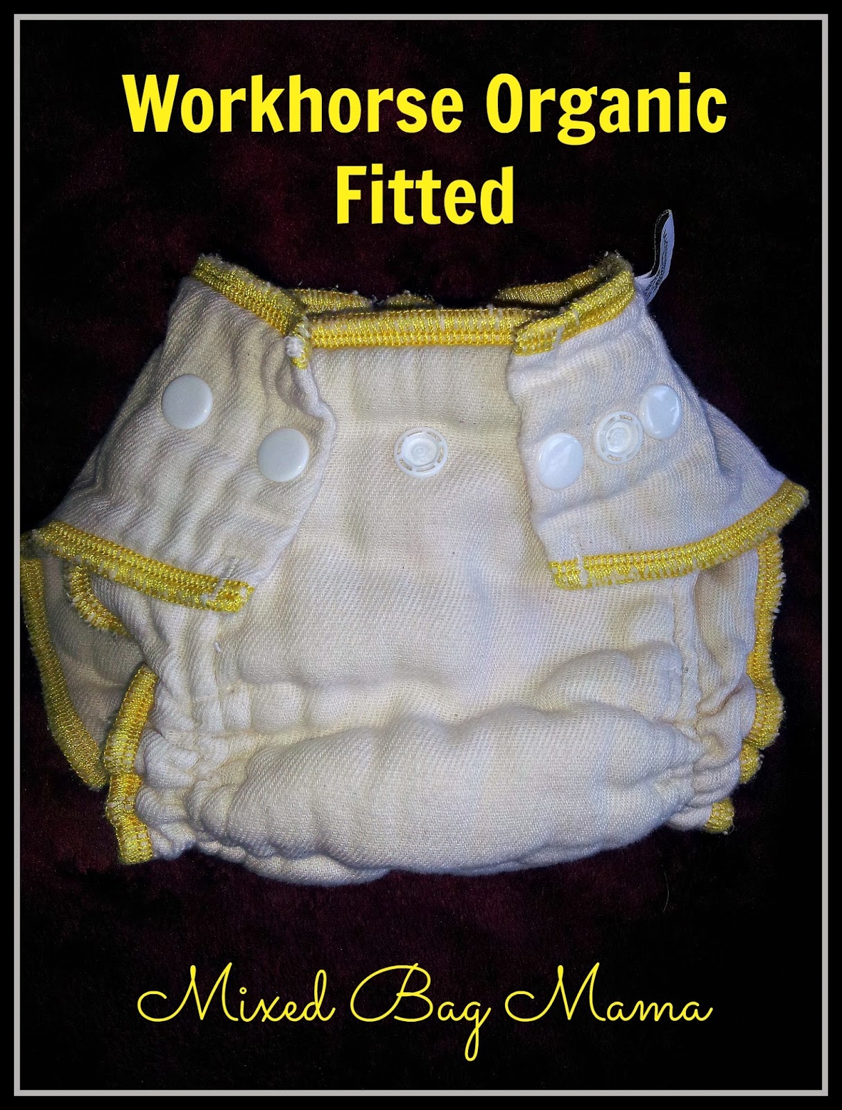 Mixed Bag Mama Green Mountain Diapers ReviewWorkhorse Fitteds & More!