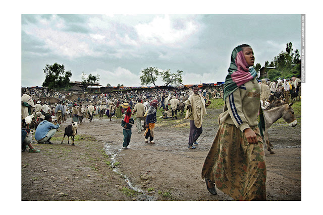 http://edlandman.blogspot.com/p/the-ethiopia-stories-2007.html