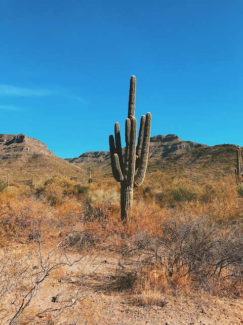 canyon creek ranch arizona