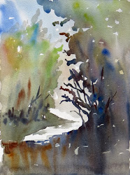 schaller thomas watercolor tom workshop