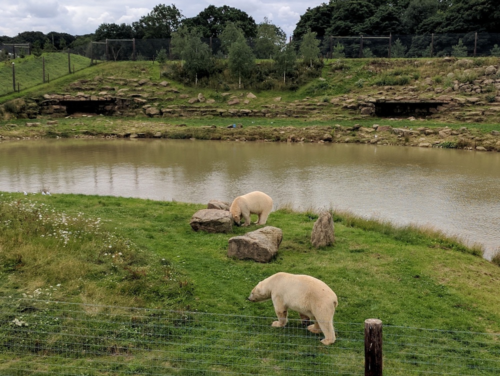 Yorkshire Wildlife Park - Elle Field