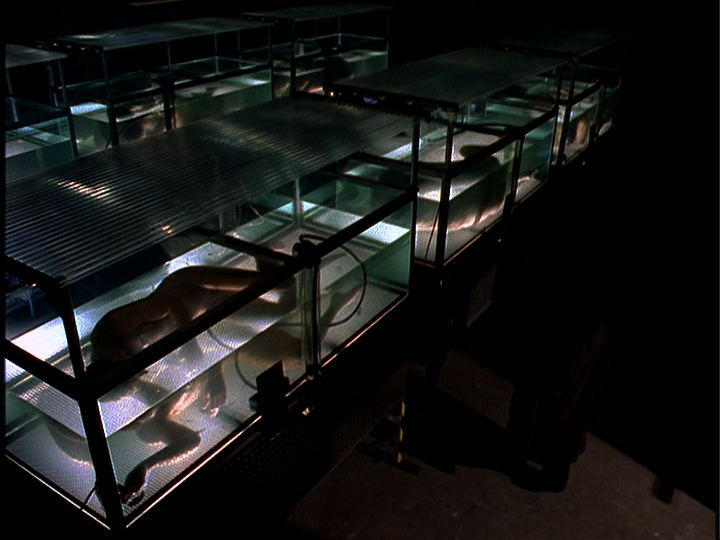 The X Files X Files Erlenmeyer Flask Prop Replica Tv vrogue.co