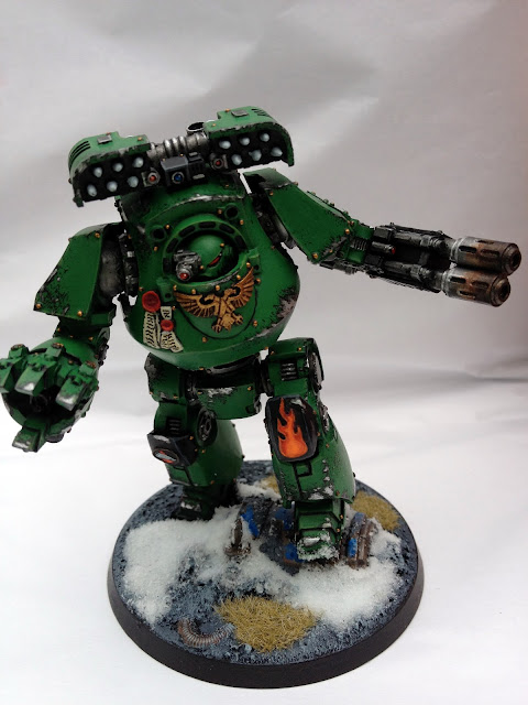 Salamanders Contemptor - Front View