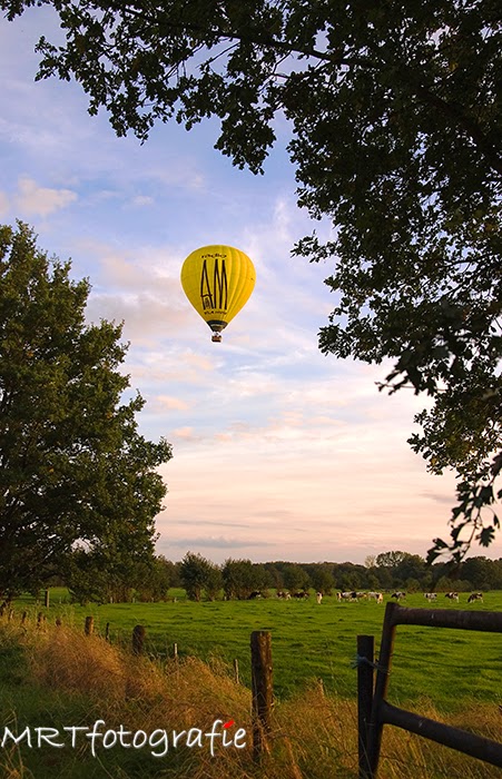Ballonvaart boven de weilanden van Leusden