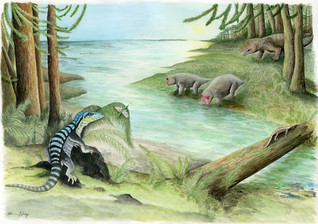 Iguana-sized dinosaur cousin discovered in Antarctica Iguana-sized dinosaur cousin discovered in Antarctica