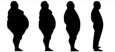 diet diet, obesitas