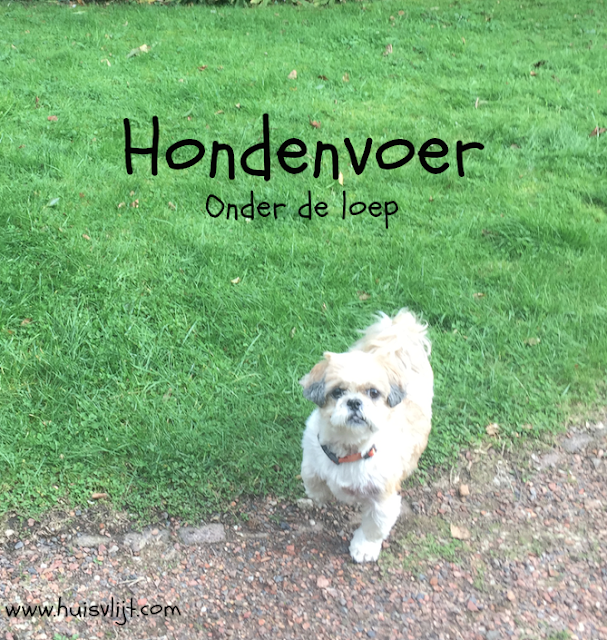 hondenvoer