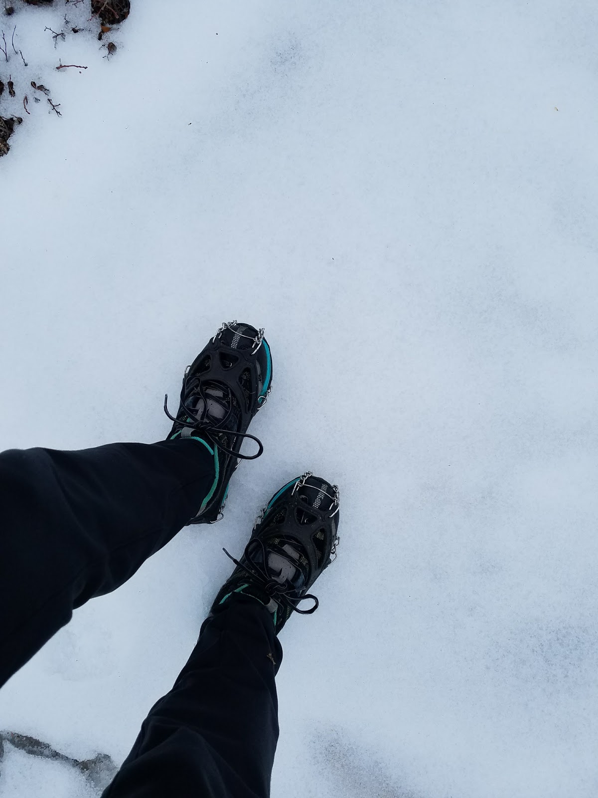 Mountain Llama 2018 Bamboozled IPA PreGame 5K
