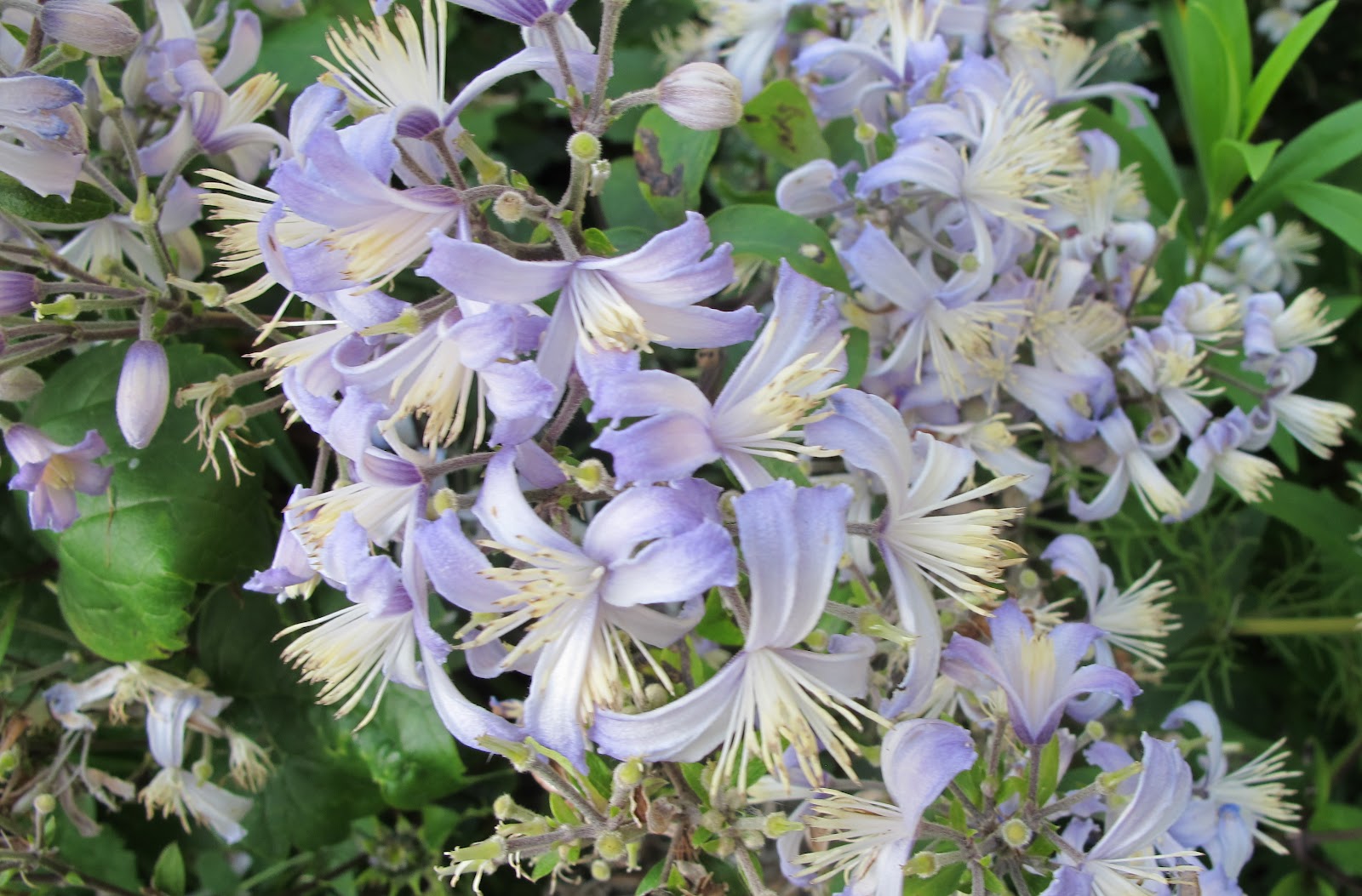 greentapestry : Slip ~ Sliding Into September