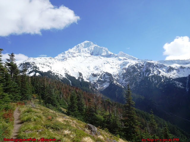 McNeil Point Trail Mt Hood