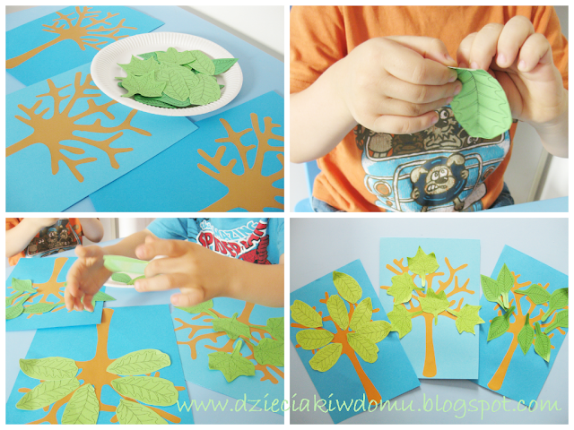 zielnik z liśćmi drzew, jak rozpoznać drzewo po jego liściu - kreatywne zabawy zielnik z liśćmi drzew, jak rozpoznać drzewo po jego liściu - kreatywne zabawy