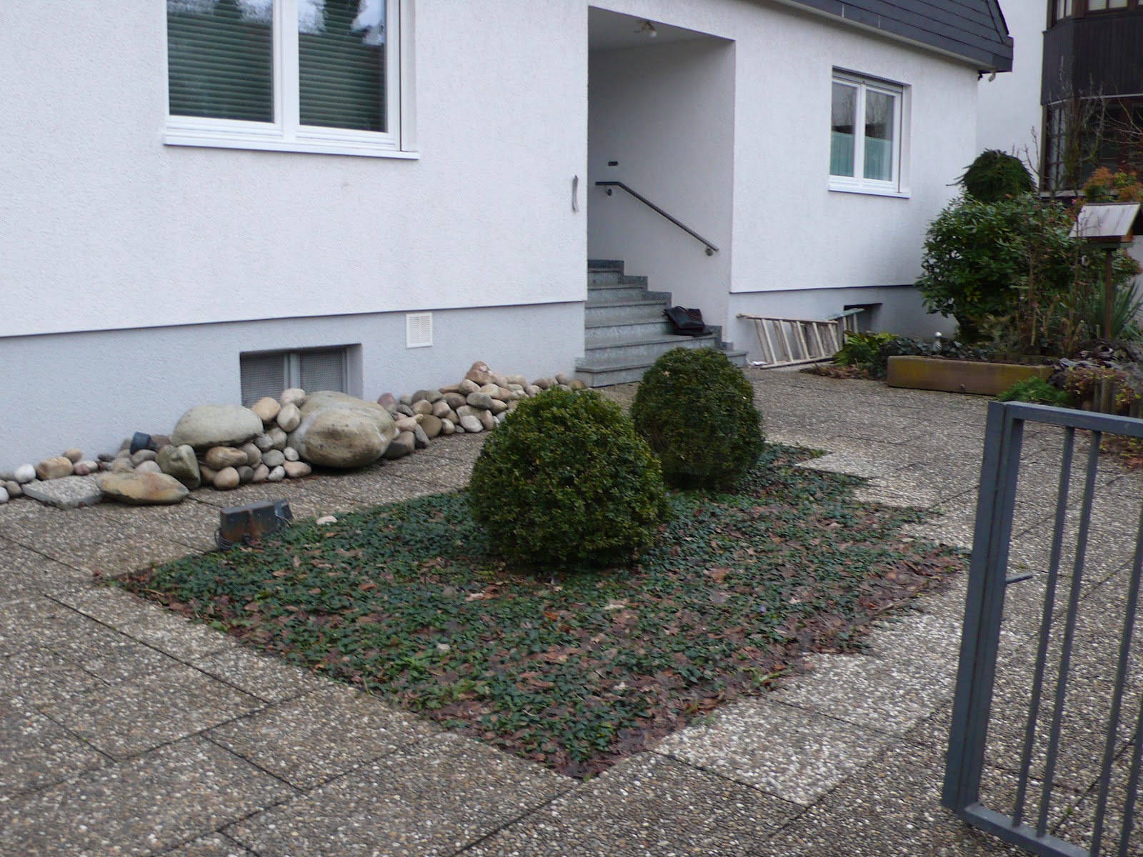 nur die HARTEN kommen in den GARTEN vorher nachher