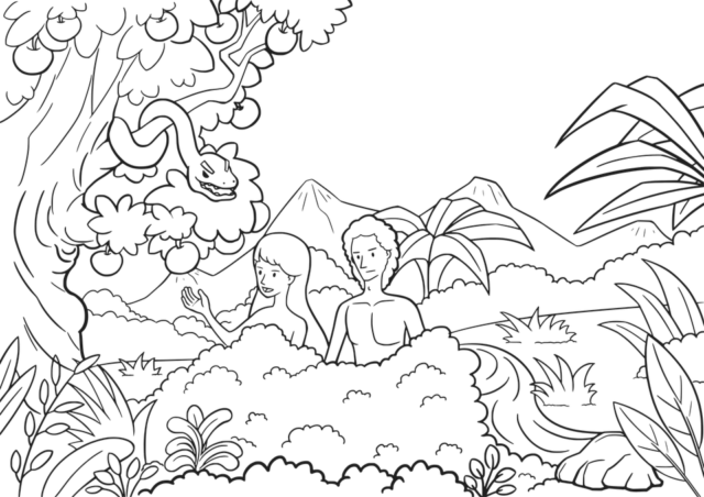 Abundant Family Living The 7 Days Of Creation