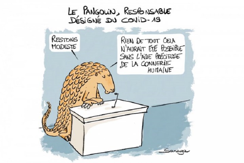 Photographie d'illustration
