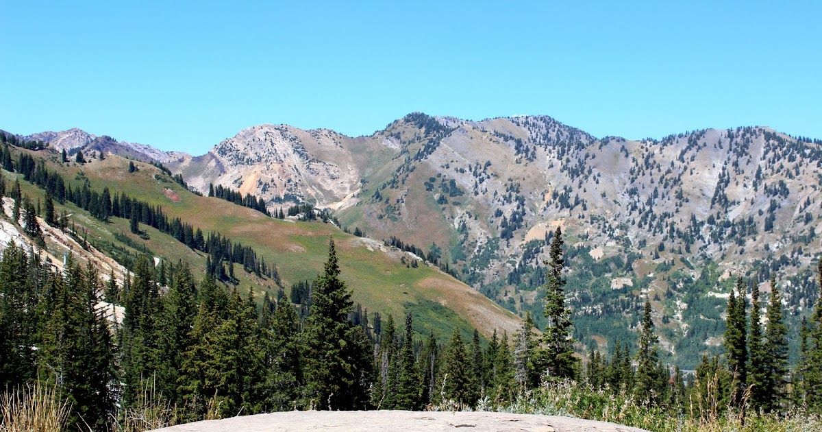 Here and There An Adventure in Alta