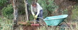 An horta in the Alentejo - Part 1