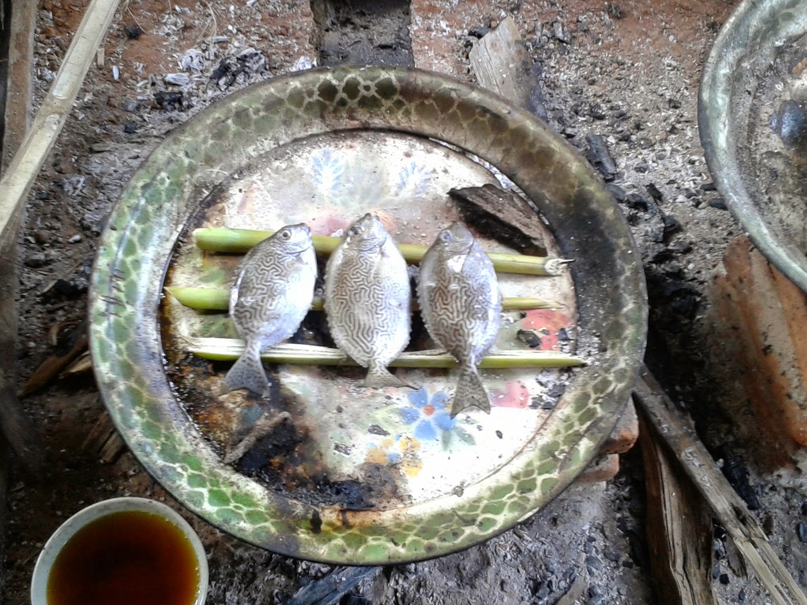 Proses pembakaran Ikan Semadar/Baronang