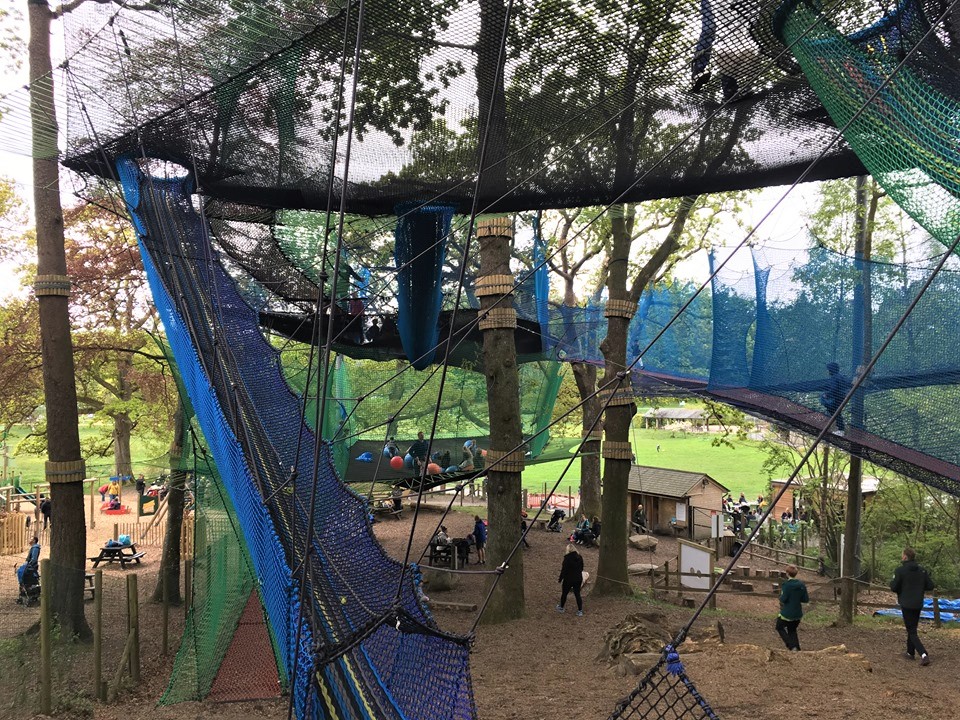 It's A Family Adventure! Our Review of the Treetop Nets in Windermere