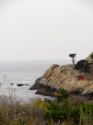 Point Lobos State Park California