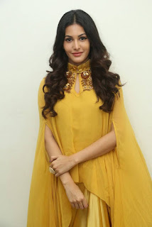 Amyra Dastur In Yellow Dress At Manasuku Nachindi Movie Interview (3)