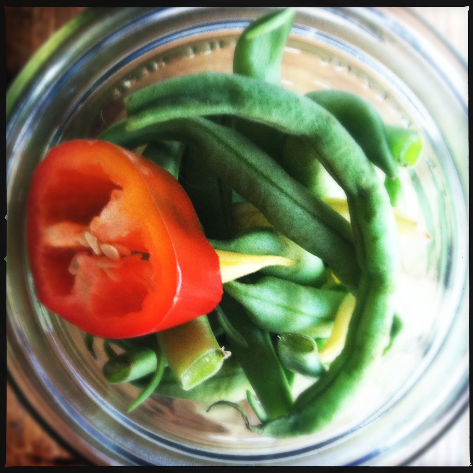 CanCan Spicy Pickled Green Beans