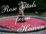 Rose Petals from Heaven