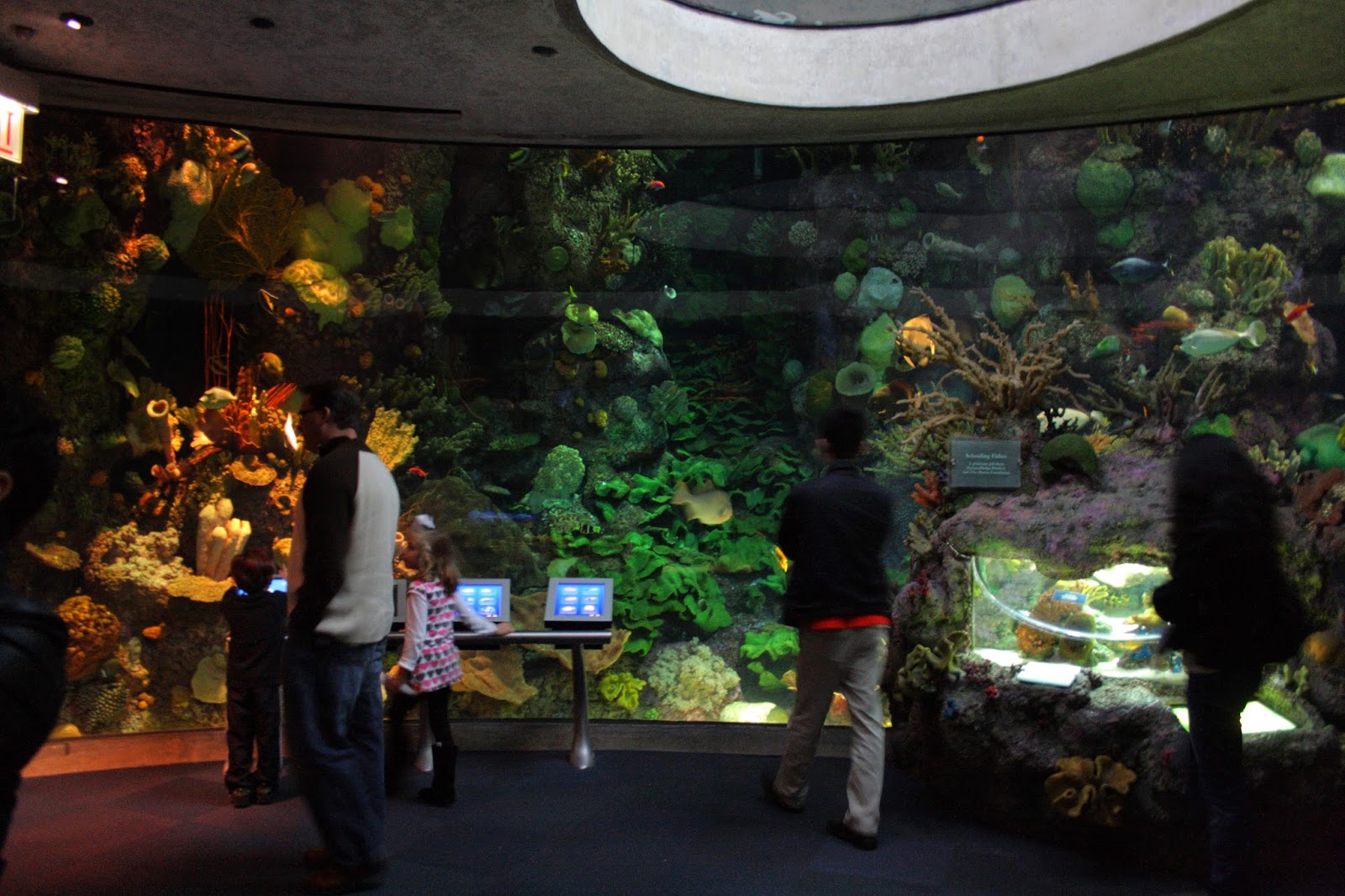 Shedd aquarium the most largest aquarium in Chicago Beautiful