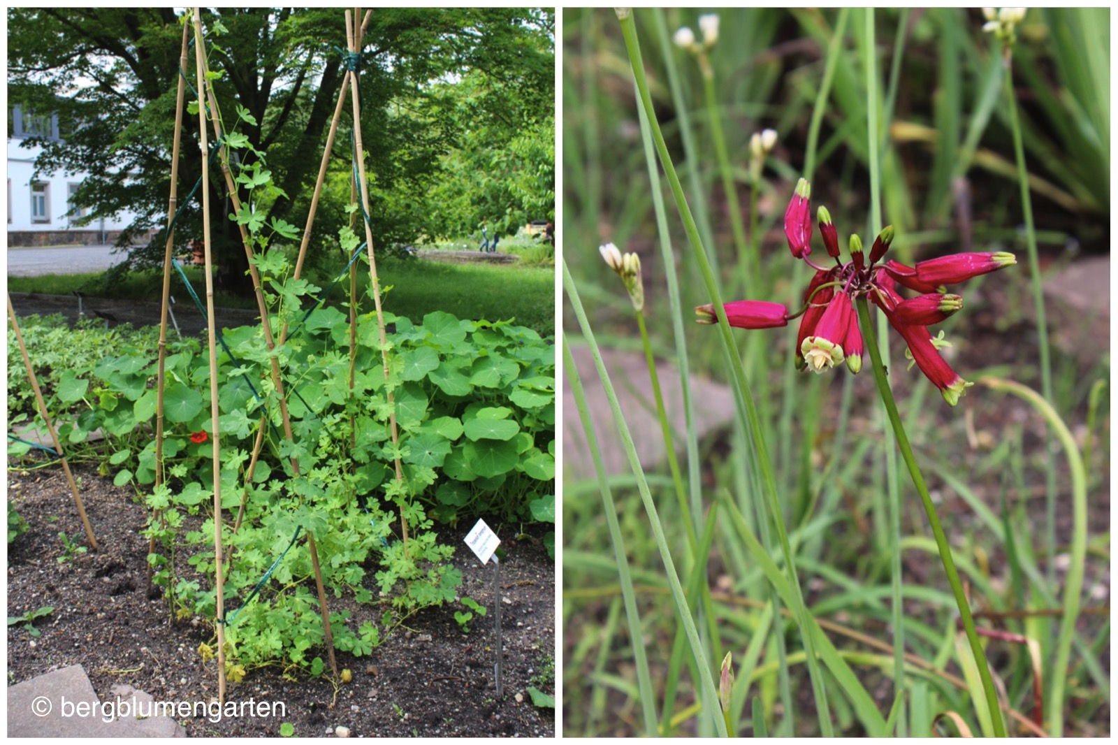 Ja Ist Denn Schon Wieder Fruhling Hollaenders Welt