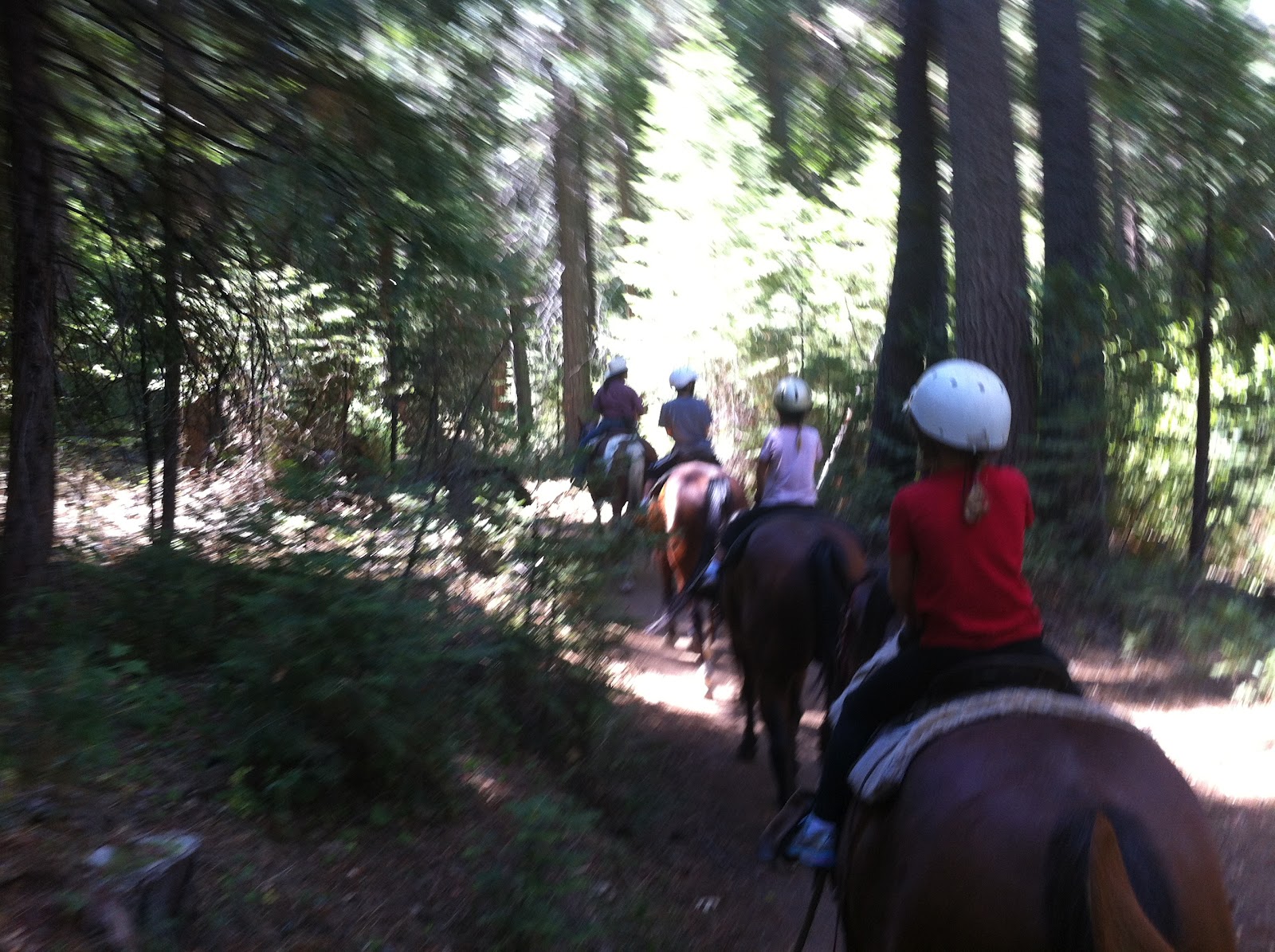 Outdoorsy Mama NoseToButt Horseback Trail Rides Still Pack a Wallop