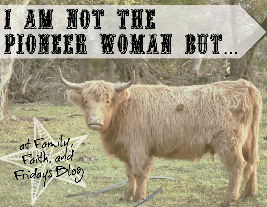 Watch the Pioneer Day Concert