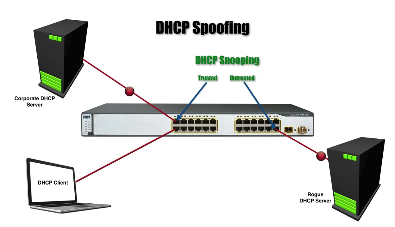 DHCP Snooping Best Cisco CCNA CCNP and Linux/CentOS PDF Notes
