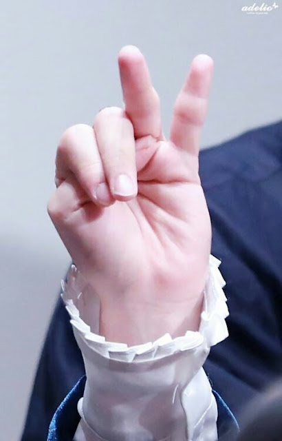 Resultado de imagen para jimin's hands