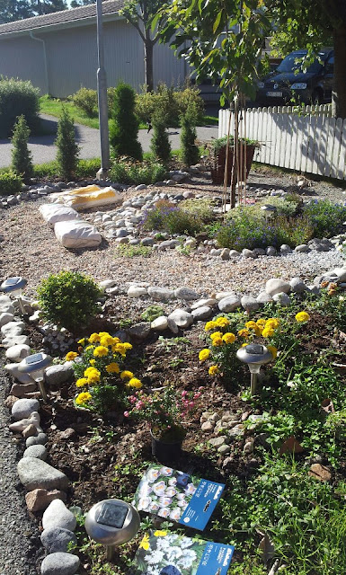 Skapa en oas: Jag skapade en trädgård utan gräsmatta - Garden made with
