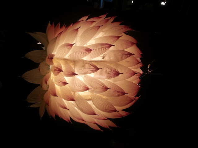 lotus lantern