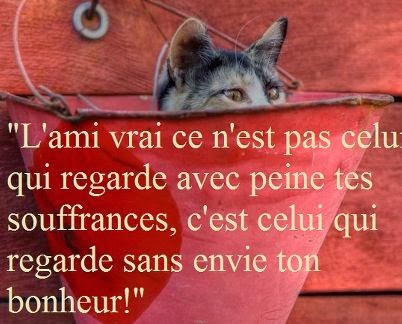 Citations Et Panneaux Facebook A Partager Un Vrai Ami N Est Pas Jaloux